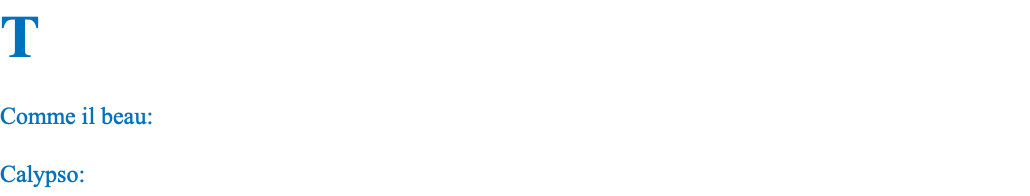 Turnier Münster- Handorf Comme il beau: 4. Platz in der Springpferdeprüfung Kl.L (8,2) Calypso: 10. Platz in der Springprüfung Kl. S*